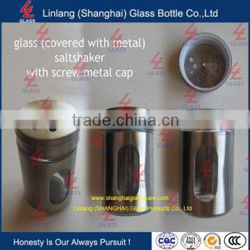 Special Shaped Salt and Pepper Jars