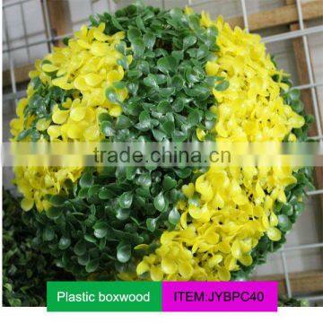 Colorful boxwood ball for decoration