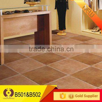 500*500mm Foshan ceramic tile flooring tile bathroom tile (B502)