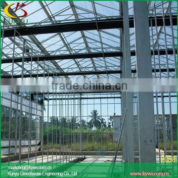 Venlo roof type greenhouse supply backyard greenhouse