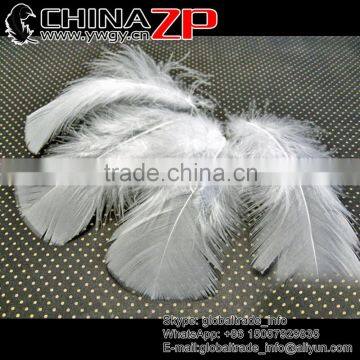 Trade Assurance ZPDECOR Crafts Factory Wholesale Bulk Bleached White Turkey Fluff Flat T-Base Body Plumage Feathers