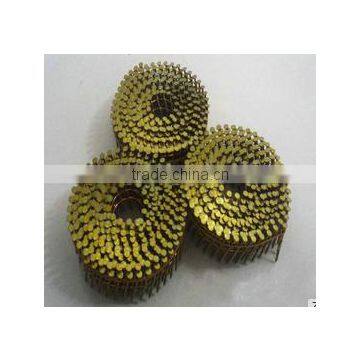 Best Price Coil Nails Factory in Guangzhou photo-3
