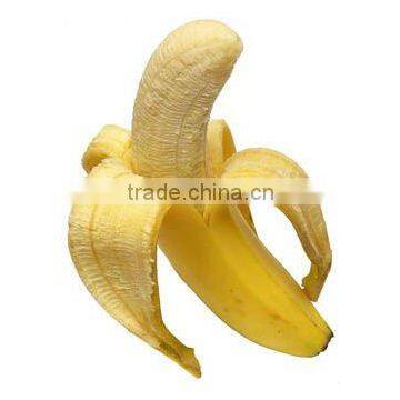 ISO9001/HACCP/Kosher/Halal Banana Powder