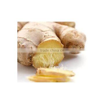 DRY GINGER