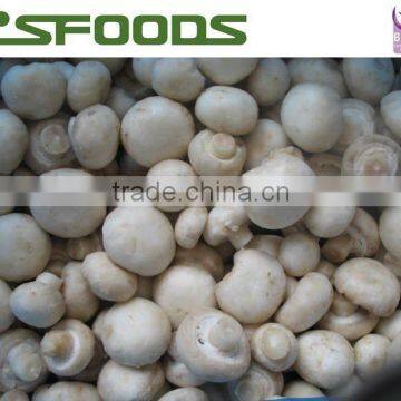 Sell Frozen IQF White Champignon Mushroom whole/slices