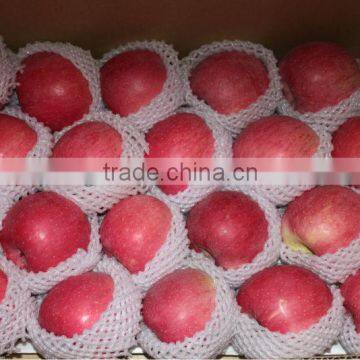 72-80-88# Qinguan Apple