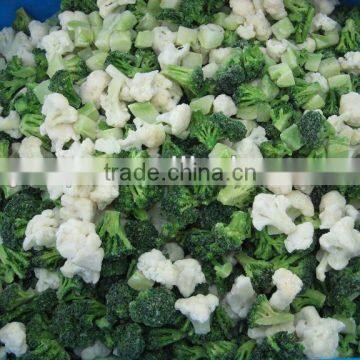 frozen italy mix vegetable though BRC and ISO9001 of 2015 years