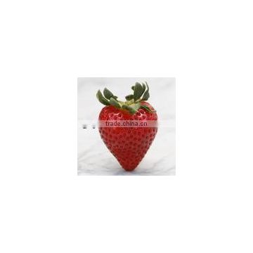 Strawberry Juice Extract Powder