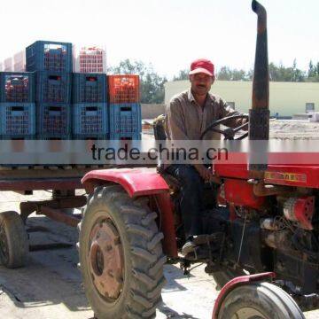 Hot Selling Sun Dried Tomotoes for Buyer photo-2