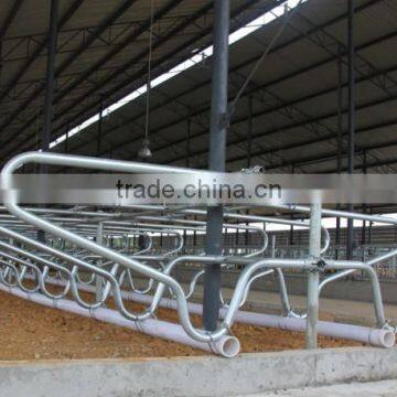 Cow/cattle double stall (cow stall-B)