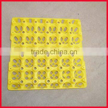 plastic egg tray for 30 chicken eggs