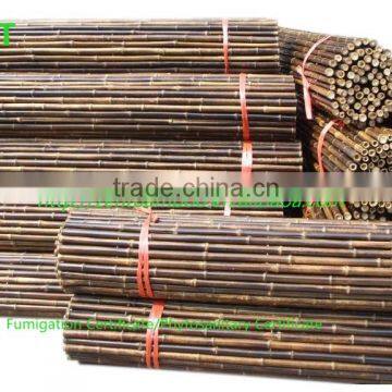 ZENT-149 nature bamboo fence/fencing