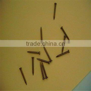 1/2"-13" High Quality Common Nails/ Stainless Steel Nail photo-5