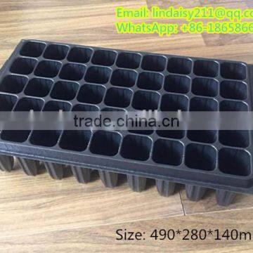 deep forest seed growing tray, tree seed propagator