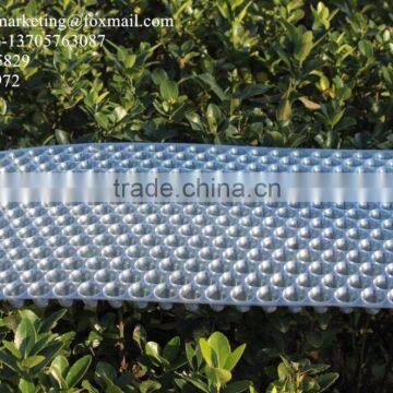 434 Cell Plastic Round Rice Seed Sprouting Tray / Paddy Seedling Tray photo-2