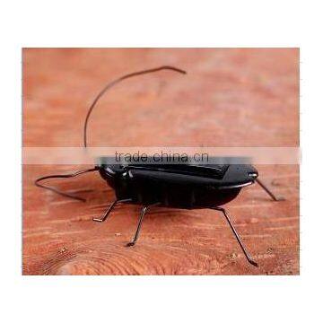 Factory Cheap Price Solar Toy Cockroach Early Educational Toy For Children Funny Solar Powered Moving Cockroach Toy