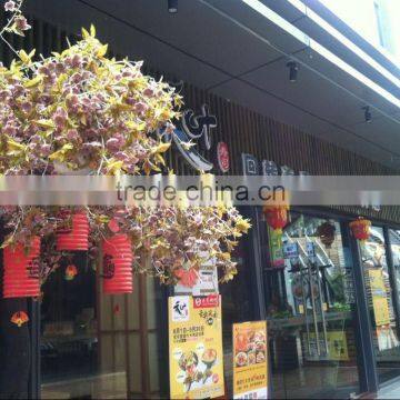 KFC MCDonald and Pizza Hut commercial district deco japon Cherry tree YHS09 134