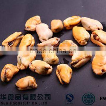 Perfect Quality Frozen Mussel Shell Local Seafood photo-2