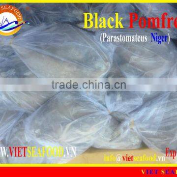 FROZEN BLACK POMFRET WHOLE ROUND