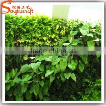 Guangzhou Songtao Supplier Artificial Green Wall Fake Plastic Green Wall photo-5