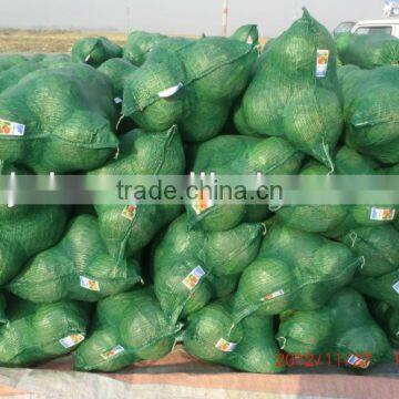 Onion PP Leno Mesh Bags, Plastic Bags for Vegetables photo-2