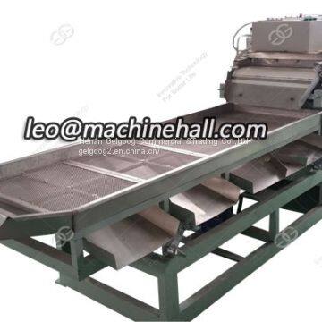 Macadamia Nut Chopping Cutting Machine|Macadamia Nut Chopper photo-4