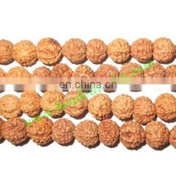 Rudraksha Beads 7 Mukhi (seven Face), Size: 7mm