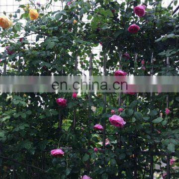 green vegetable climbing Netting supplier/plastic plants support net/cucumber support net
