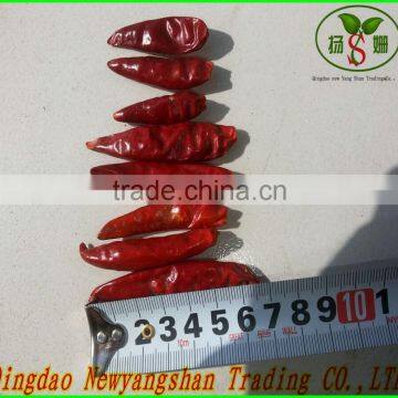 Chao Tian Red Pepper/PEPPER/CHINA RED CHILLI