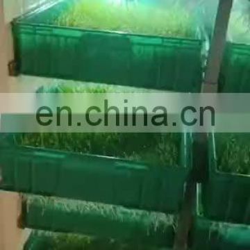 Automatic seed germination machine bean sprout growing machine