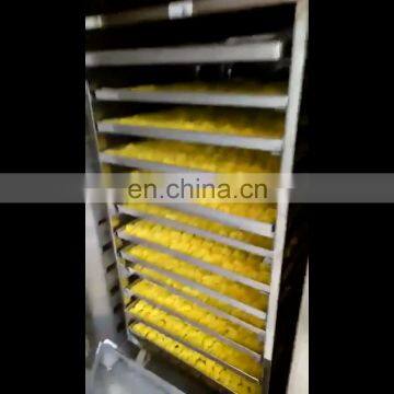 RXH Hot Air Oven Dryer Machine