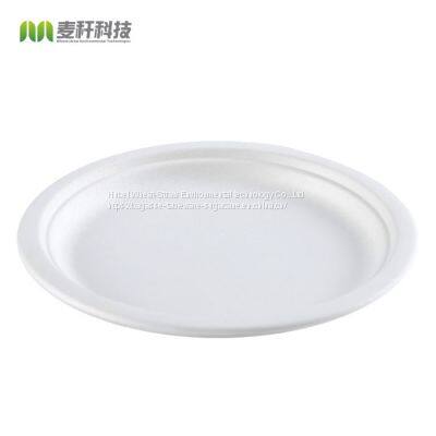 Disposable Biodegradable 10 INCH PLATE Take Away Sugarcane Bagasse Party Plate