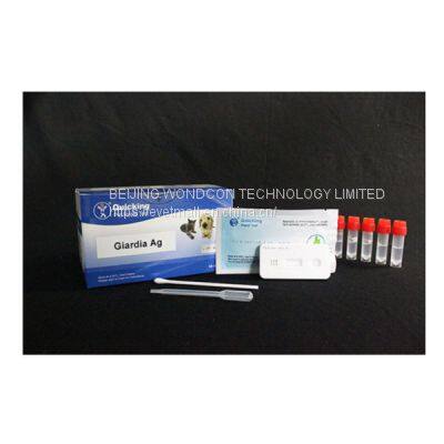 Giardia Ag Rapid Test