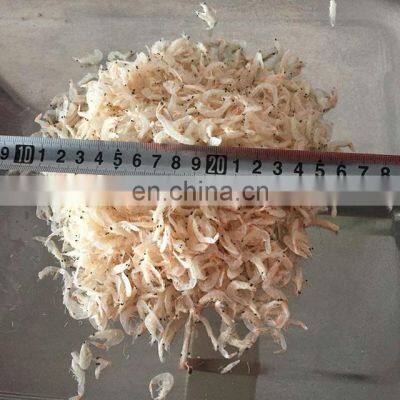 High Quality Frozen Dried Baby Shrimp photo-4