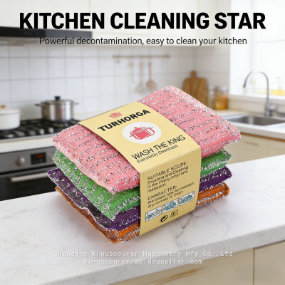 4Pcs Reusable Kitchen Scrub Cloths, Effective Scrub Sponges for Dishes & Household Cleaning