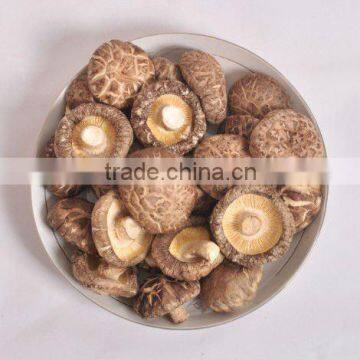 dried tea flower mushroom