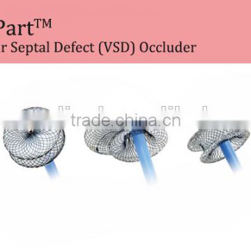 Ventricular Septal Defect (VSD) Occluder