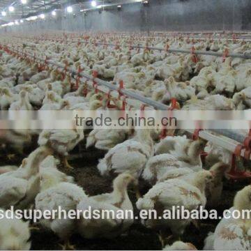 Automatic Poultry Nipple Drinking System for Chicken photo-2