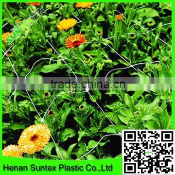 Tomato Supporting Netting / Plastic Plant Climbing Net photo-4