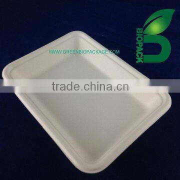 eco-friendly Sugarcane Bagasse biodegradable plates