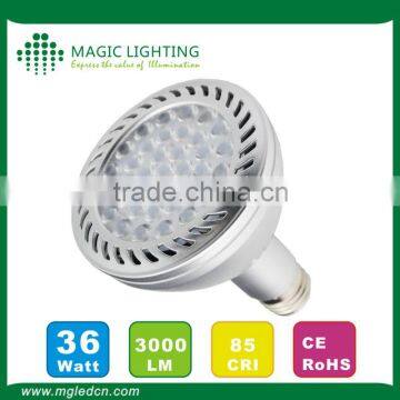 Chinese PAR30 36W COB 30w Zhongshan Guzhen Down Light Led for Home photo-5