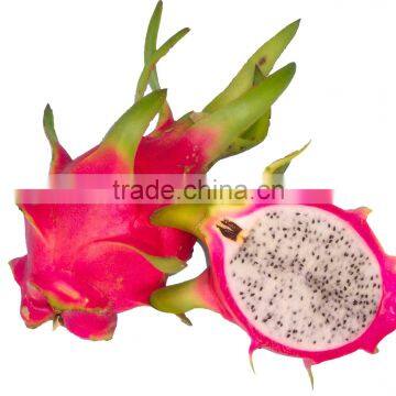 White Fresh Dragon Fruit