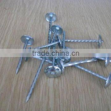 umbrella head twisted shank roofing nails for Nepal market