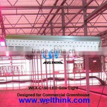 LED indoor grow lighting,LED Hydroponics lighting,LED indoor gardening lighting