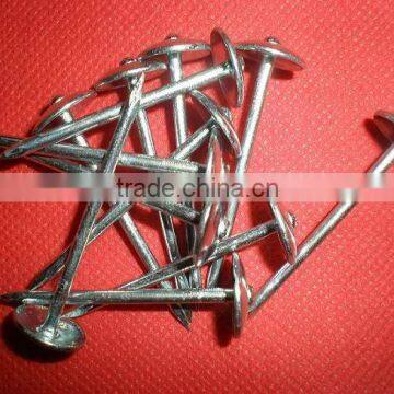 80mm Umbrella head galvanized roofing nail