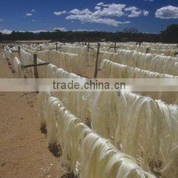 Natural Sisal Fiber and Yarn