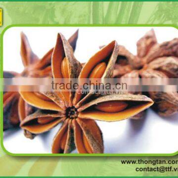 Wide Size Star Aniseed