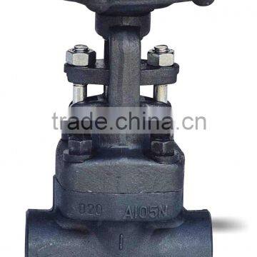 Forged steel globe valve