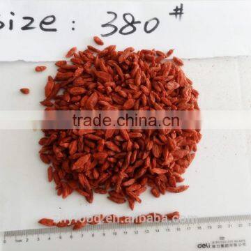 Dried Goji Berry 380grains/50g