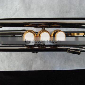Trumpet Cheap Model